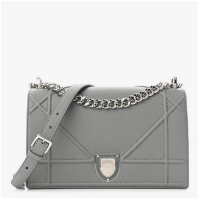 Christian Dior Diorama Bags