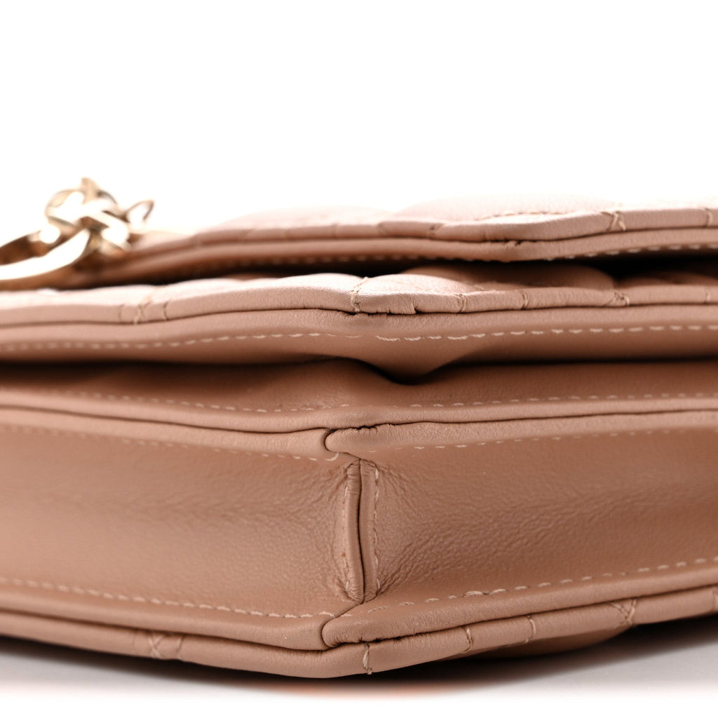 Lambskin Cannage Mini My Dior Bag Rose Des Vents