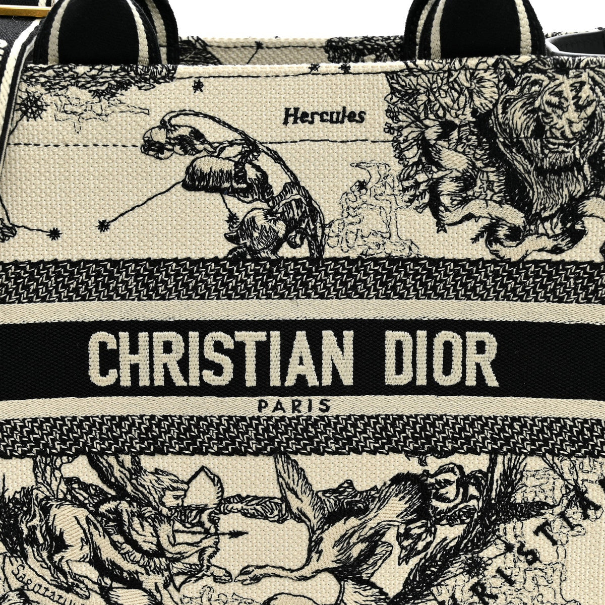 Calfskin Zodiac Toile De Jouy Small Book Tote With Strap Latte