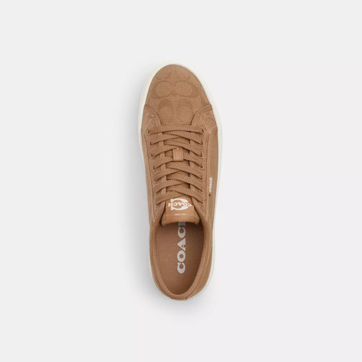 Coach Outlet Canvas Sneaker