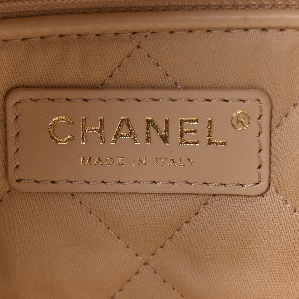 Shiny Calfskin Quilted Small Chanel 22 White