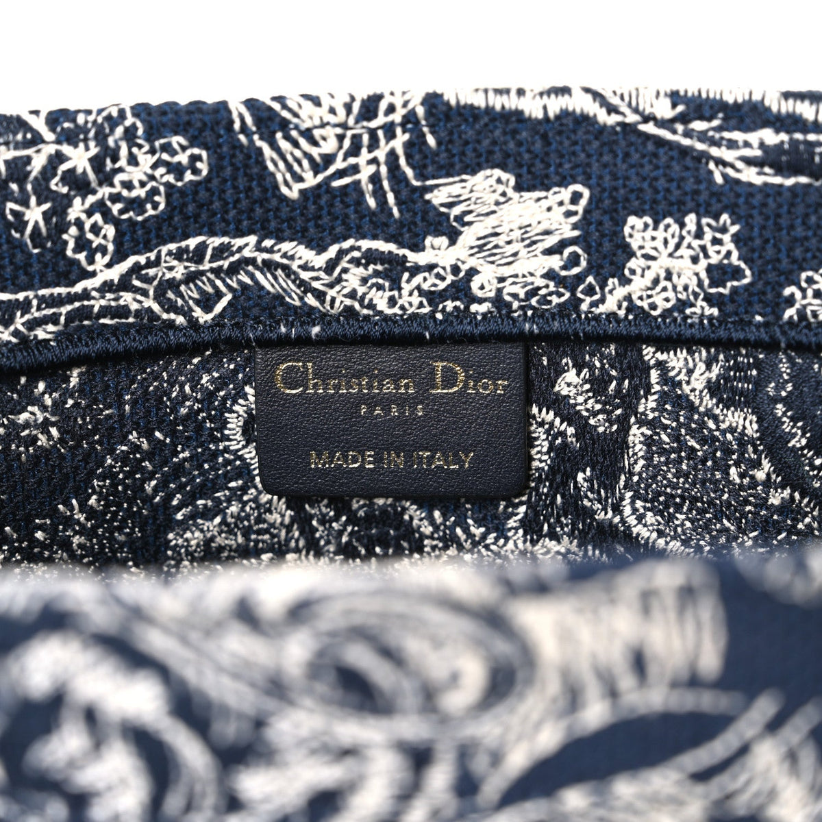 Canvas Embroidered Medium Dioriviera Toile De Jouy Reverse Book Tote Blue