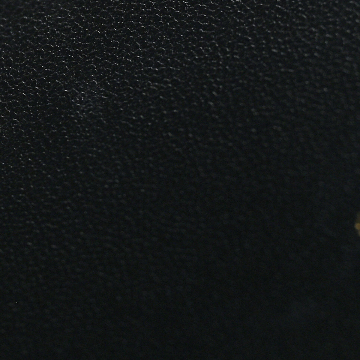 Supple Calfskin Cannage Caro Belt Pouch with Chain Black