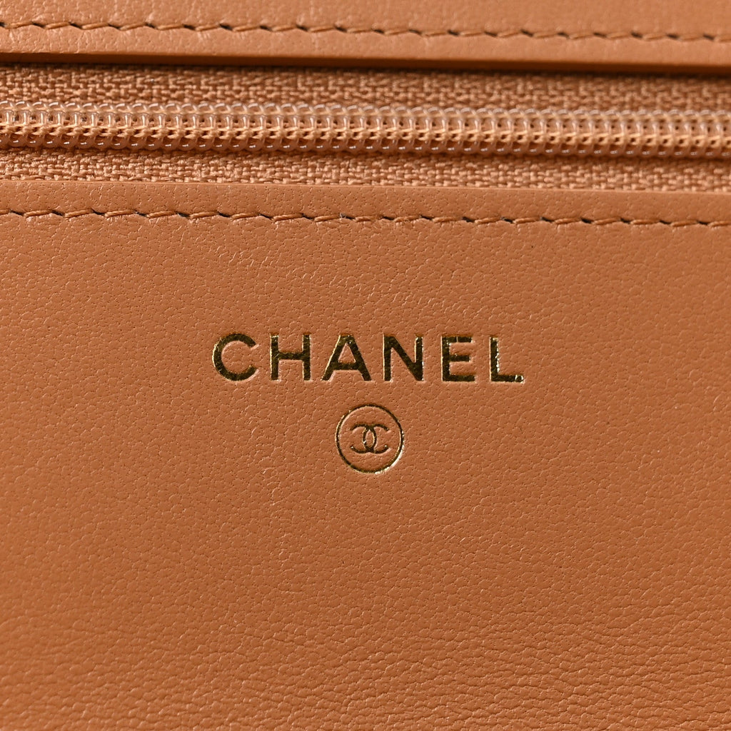 Lambskin Quilted Chanel 19 Wallet On Chain WOC Brown