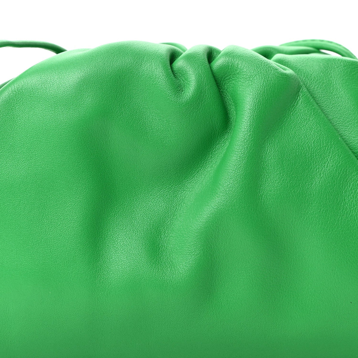 Butter Calfskin The Mini Pouch Parakeet