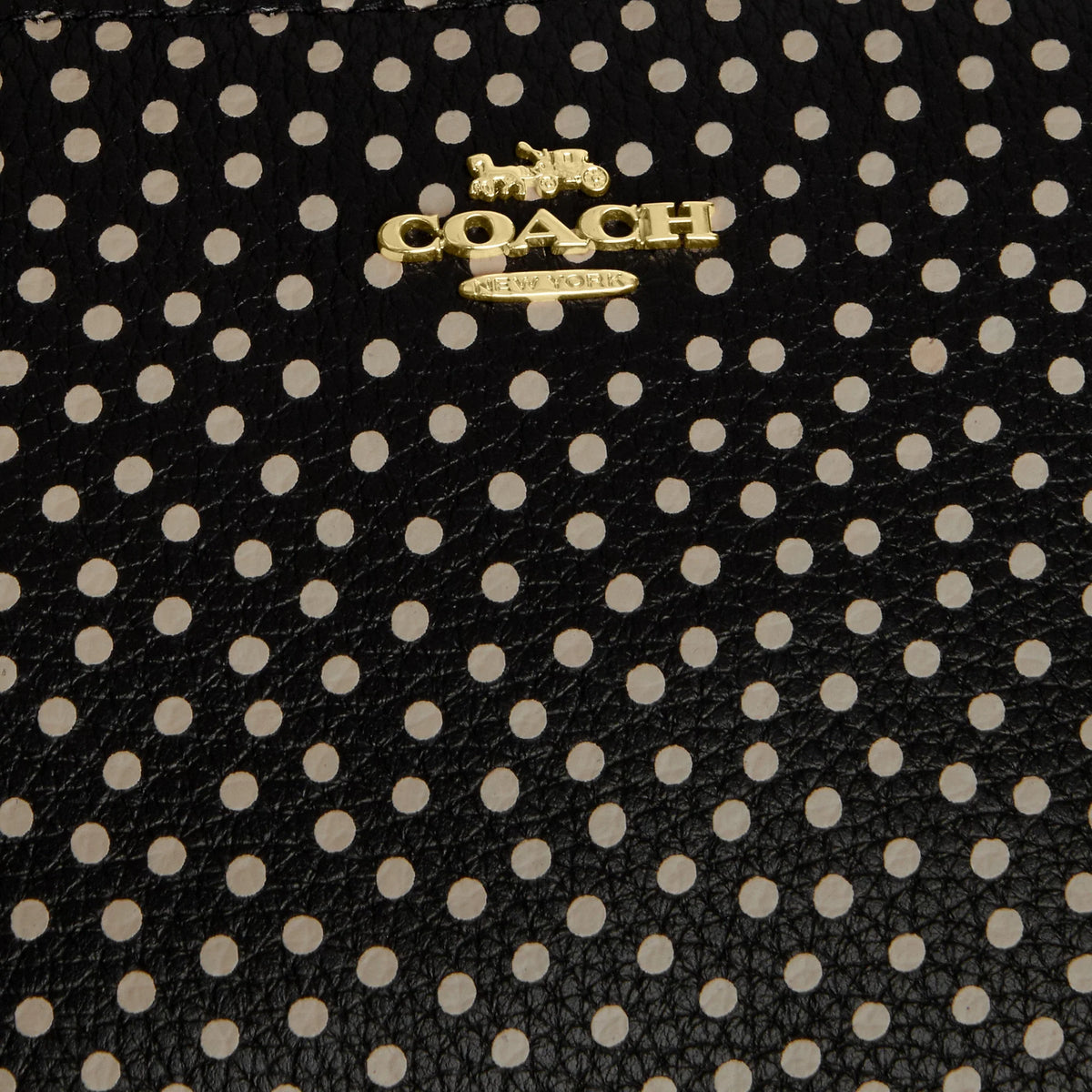 Coach Outlet Nolita 19 With Spot Print