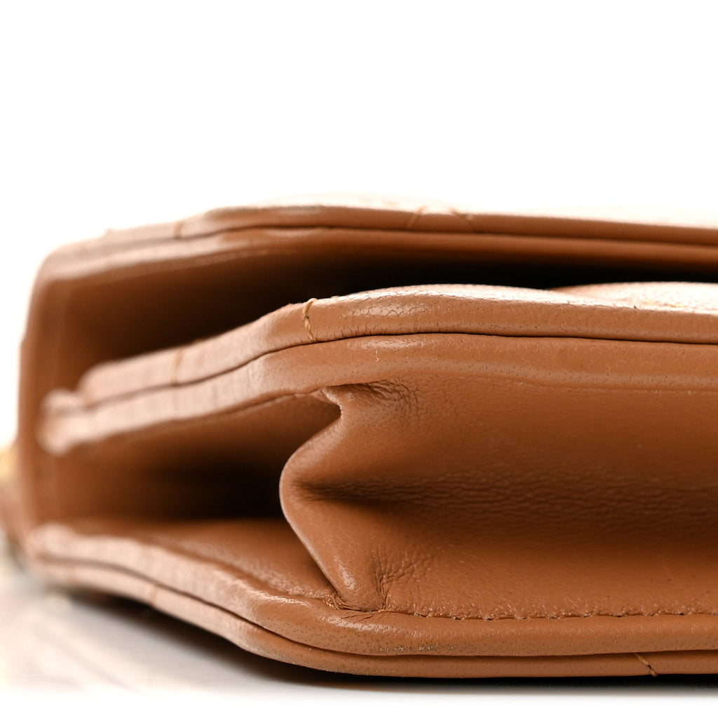 Lambskin Quilted Chanel 19 Wallet On Chain WOC Brown