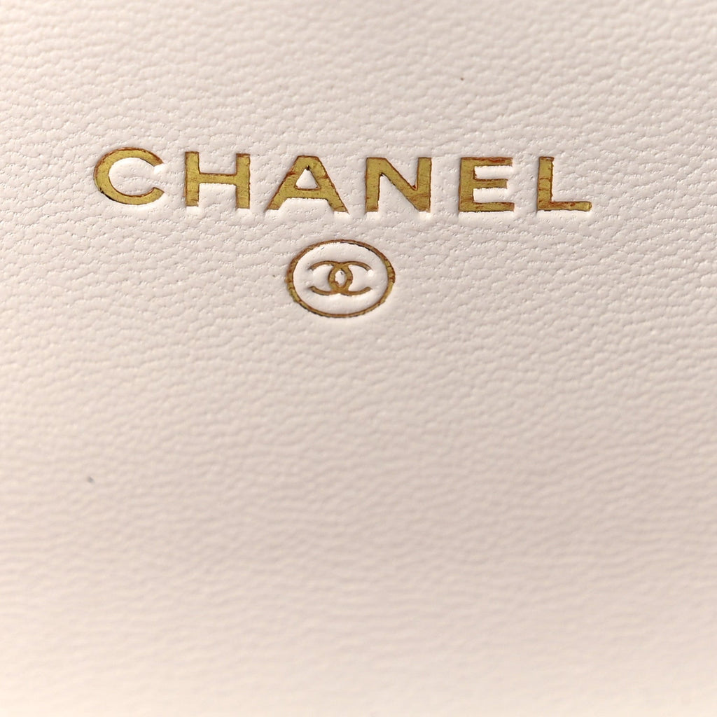 Lambskin Quilted Chanel 19 Flap Coin Purse With Chain White