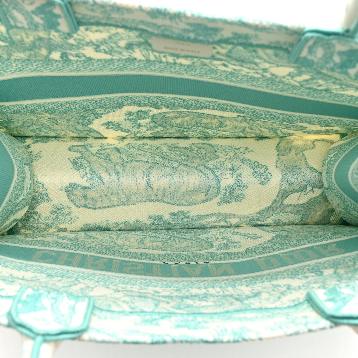 Canvas Embroidered Medium Dioriviera Toile De Jouy Book Tote Aquamarina