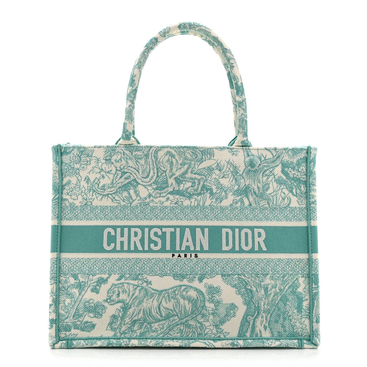 Canvas Embroidered Medium Dioriviera Toile De Jouy Book Tote Aquamarina