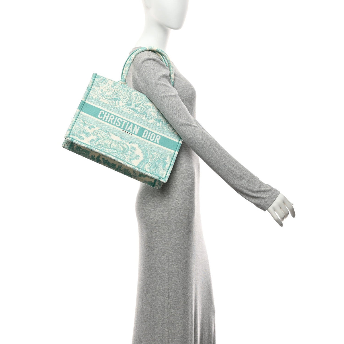 Canvas Embroidered Medium Dioriviera Toile De Jouy Book Tote Aquamarina